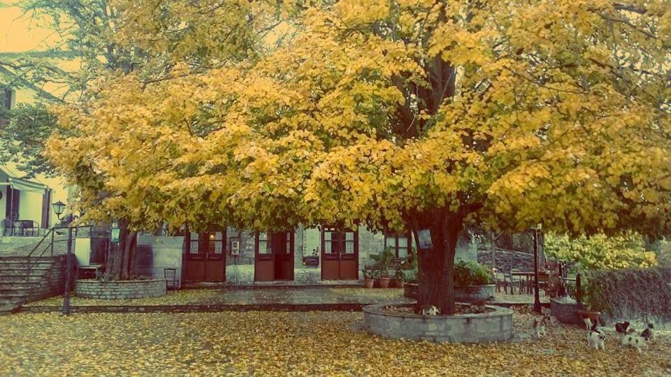 Villa Armonia Neochori  Экстерьер фото